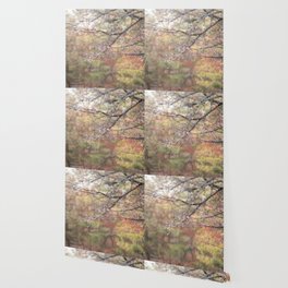 Autumn Dew Wallpaper
