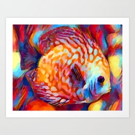Discus Fish Art Print