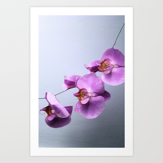 Ikebana Art Print