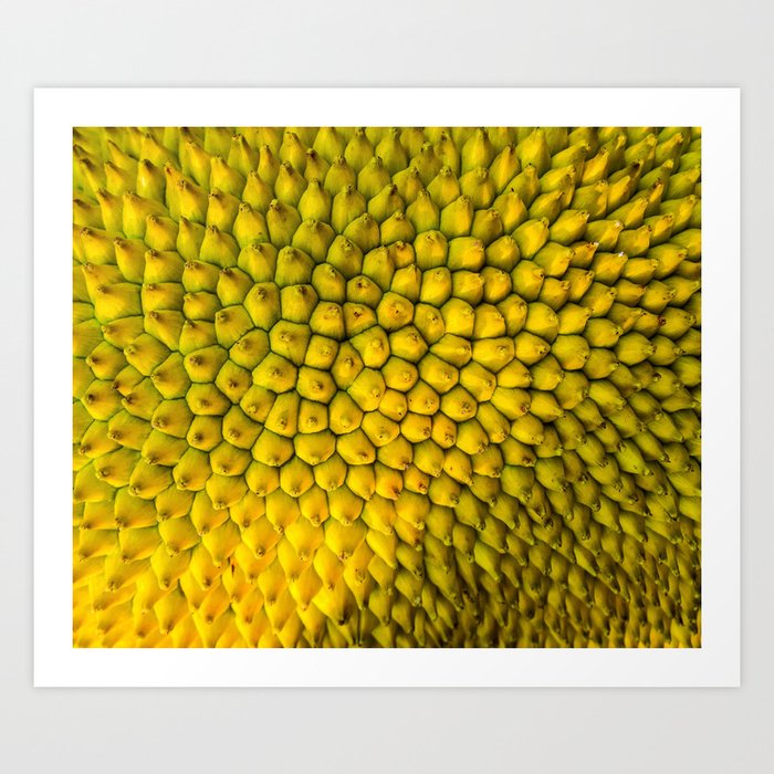 Yellow Jackfruit Art Print
