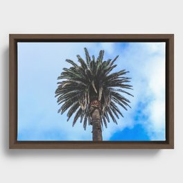 Palm Tree in Blue Skies Framed Canvas