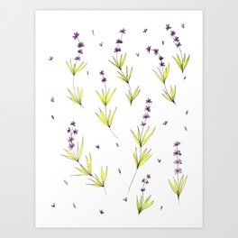 Lavender Sprigs Art Print
