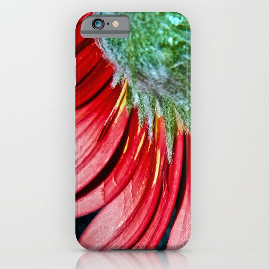 Red Gerbera Flower iPhone & iPod Case
