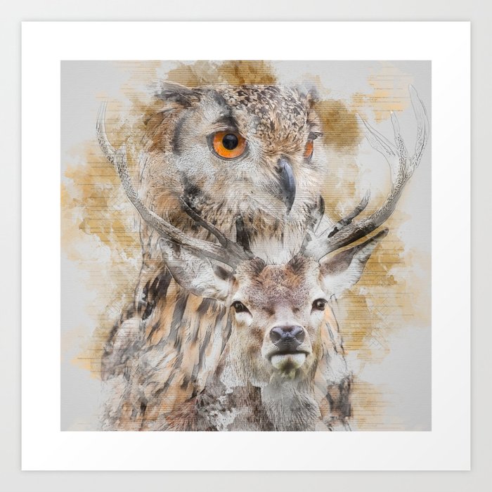 Owl deer 2025