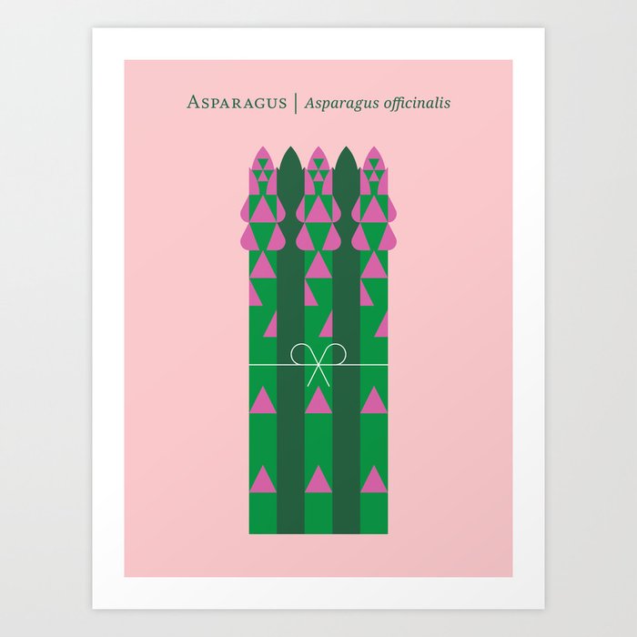 Vegetable: Asparagus Art Print