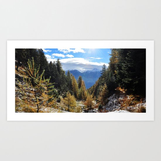 Firs And Larches Art Print
