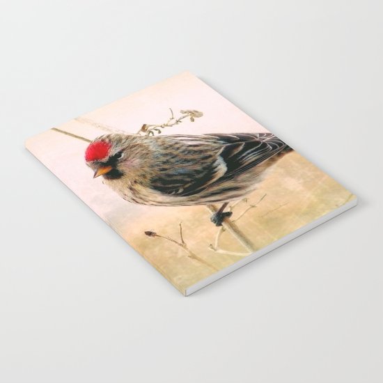 Redpoll Notebook
