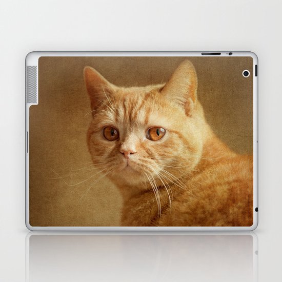 Cat Laptop & iPad Skin