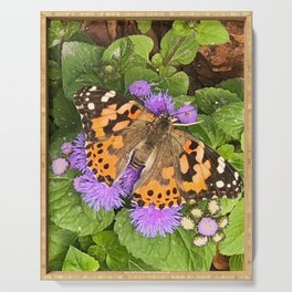 Butterfly Power Serving Tray