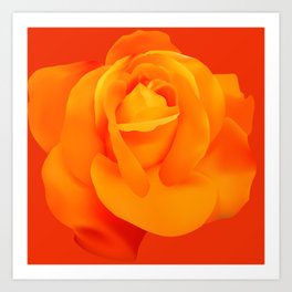 Orange rose flower Art Print