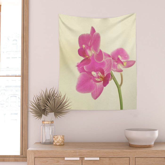 Pink Orchid