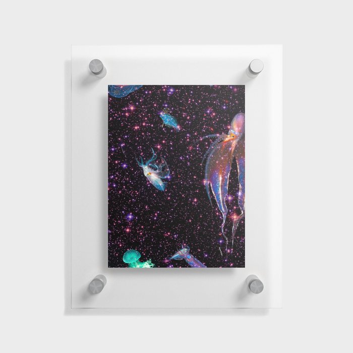 Aquatic Life In The Universe Floating Acrylic Print