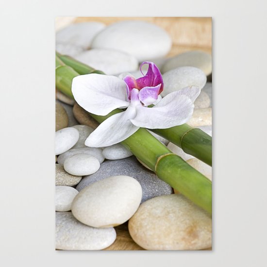 white Orchid flower and green Bamboo still life Canvas Print