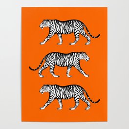 Tigers (Orange and White) Poster
