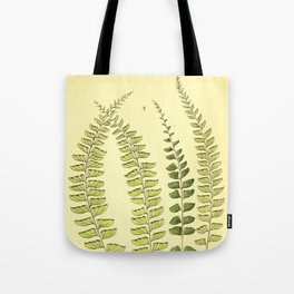 Fern Botanical Tote Bag