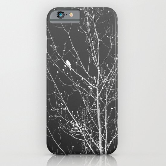 Modern Winter iPhone & iPod Case