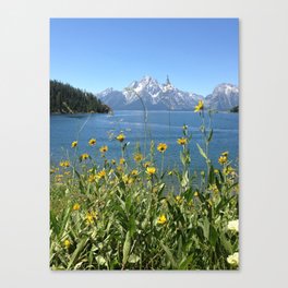 Sunny Grand Tetons Canvas Print