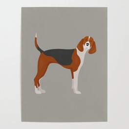 English Foxhound Poster