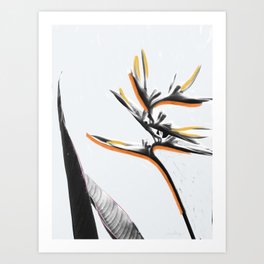 I Was the Life of the Party II - Tropical Bird of Paradise Modern Mixed Media Photography Illustration Art Print