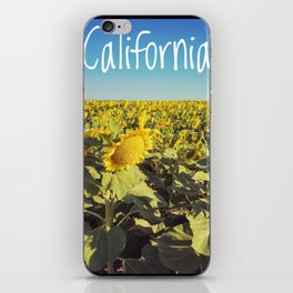 Sunflowers  iPhone Skin