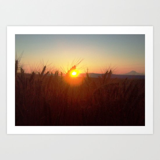 Wheat Sunset Art Print