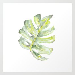Watercolor monstera tropical leaf, illustration isolated on a white background. Hand painted evergreen tropic plant. Botanical illustration. For logo, design, print or background Art Print