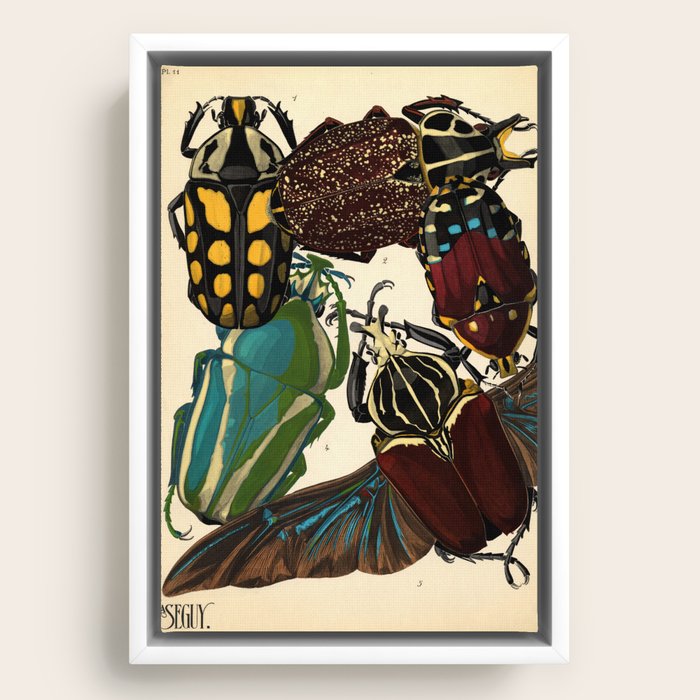 Framed Canvas