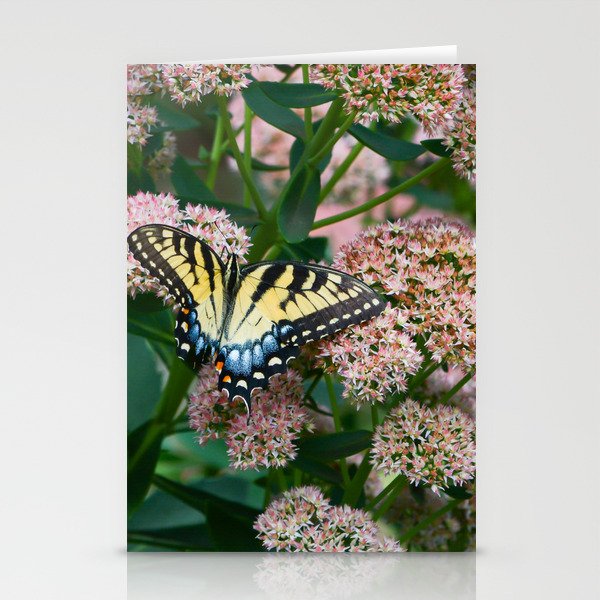 Eastern Tiger Swallowtail Butterfly Stationery Cards