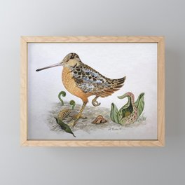 Woodcock Framed Mini Art Print