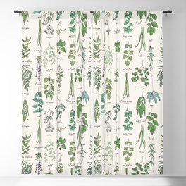 Herbs Collection Pattern Blackout Curtain