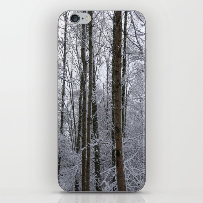 Snow Laden Winter Tree Trunks  iPhone Skin