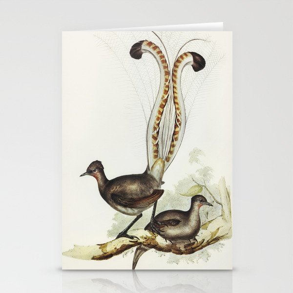 Lyre Bird (Menura superba) illustrated by Elizabeth Gould (1804–1841) for John Gould’s (1804-1881) B Stationery Cards