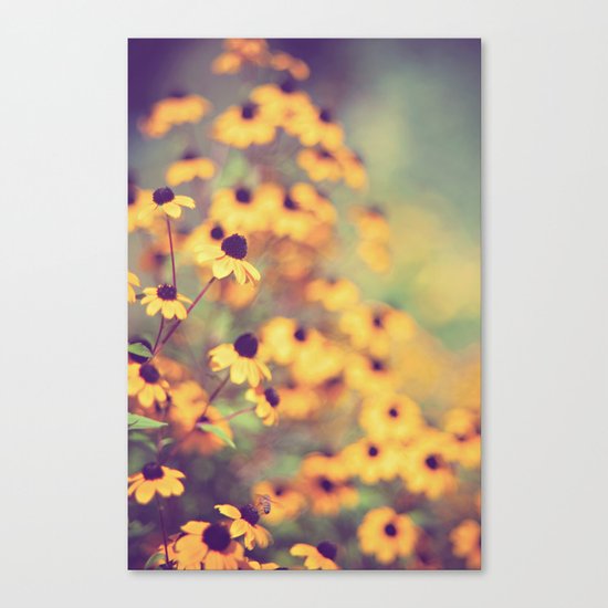 bright-eyed Canvas Print