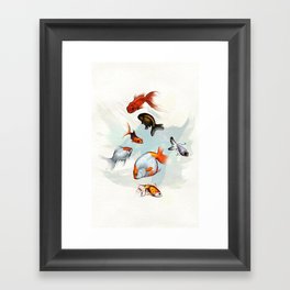 Goldfish Framed Art Print