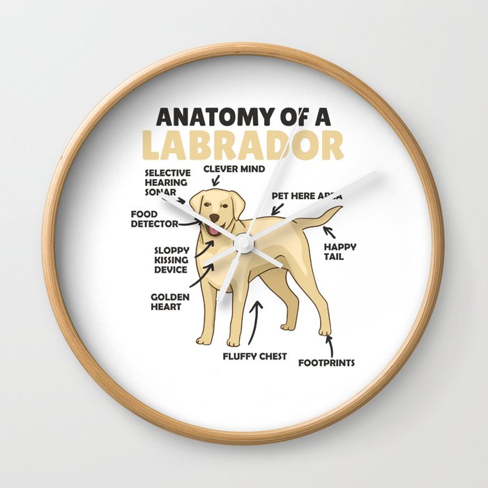 Anatomy Of A Labrador Retriever Sweet Dogs Wall Clock