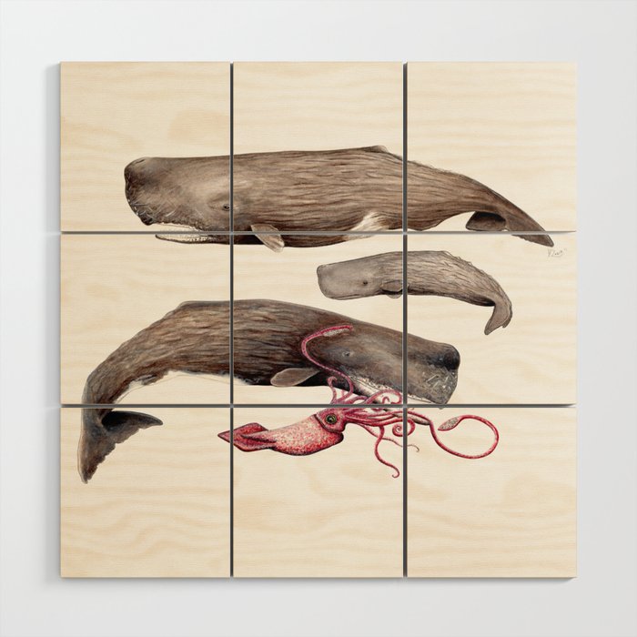 Sperm whale family Wood Wall Art