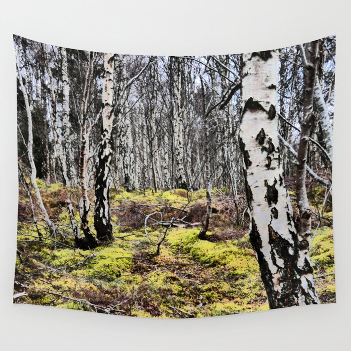 Spring Birch Tree Woodland in the Scottish Highlands in I Art  Wall Tapestry
