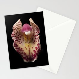 Orchid Stationery Cards