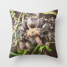 Tarantula's Greeting Throw Pillow