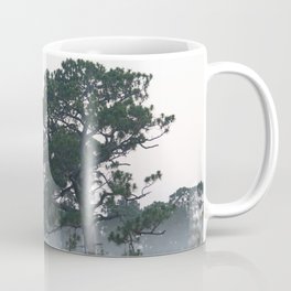 Foggy Pine in a Florida Forest Coffee Mug