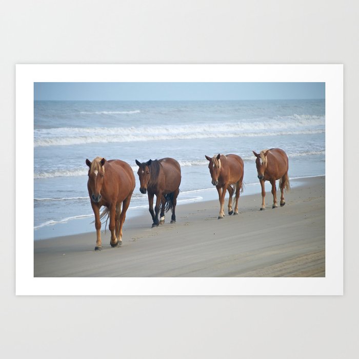 Outer Banks Corolla Nc Obx Wild Horses Walking On The Beach Art Print By Obxlife