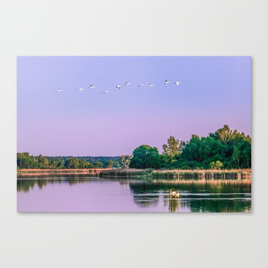 Swans are flying Canvas Print