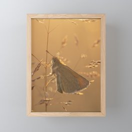 Summer meadow Framed Mini Art Print