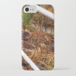 Geese in Reeds iPhone Case