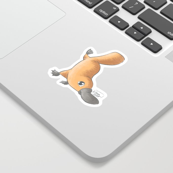 Baby platypus  Sticker