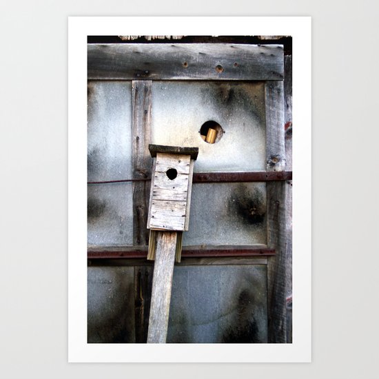 birds house Art Print