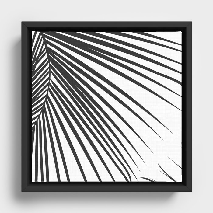 Framed Canvas