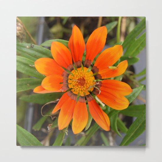Almost Gone Metal Print