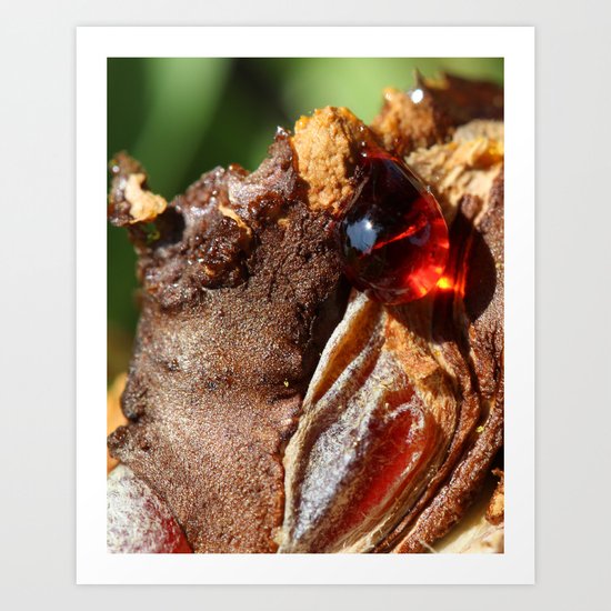 Ruby Art Print