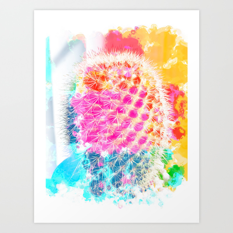 Closeup Cactus With Colorful Painting Abstract In Pink Orange Blue